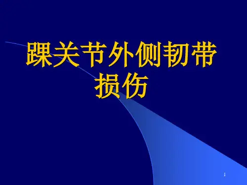 踝关节外侧韧带损伤精品PPT课件