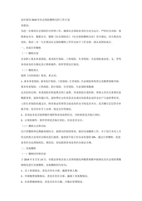 县社保局2019年社会保险稽核内控工作计划.docx