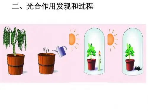 光合作用(第二课时)光合作用的发现和过程
