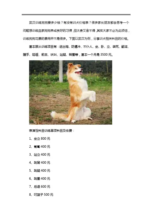 武汉训犬价格表
