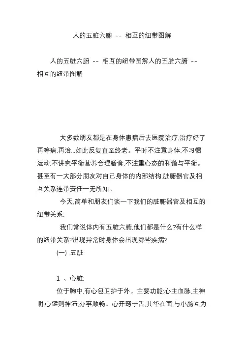 人的五脏六腑 -- 相互的纽带图解