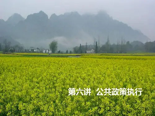 第六讲  公共政策执行