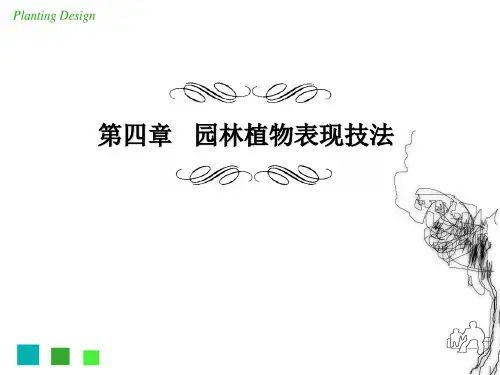 园林植物表现技法实用PPT(62张)