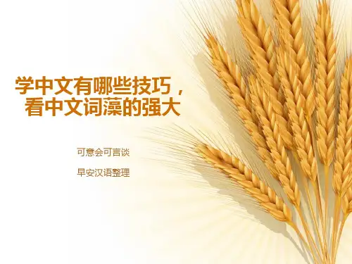 学中文有哪些技巧,看中文词藻的强大