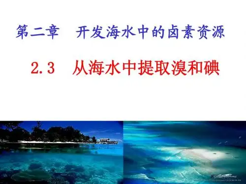 从海水中提取的元素-溴和碘