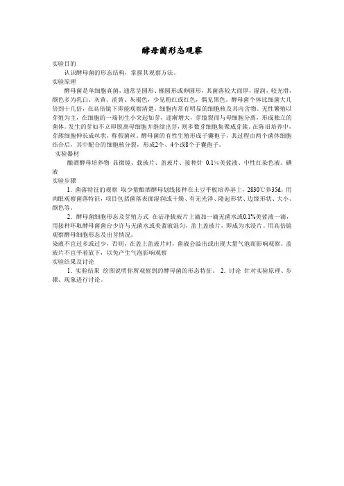 酵母菌的形态观察