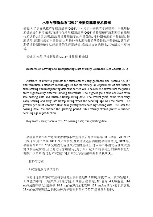 水稻早糯新品系“2016”播插期栽培技术初探