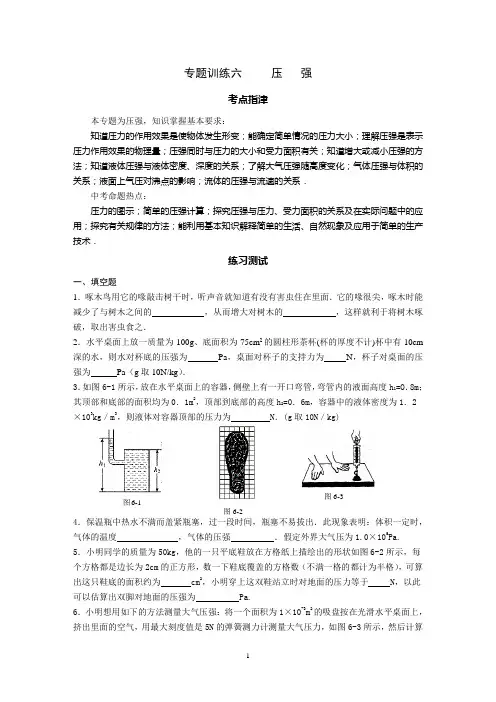 中考物理压强专题训练及答案