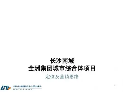 长沙南城城市综合体调研定位及营销提案