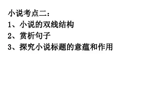 小说考点二