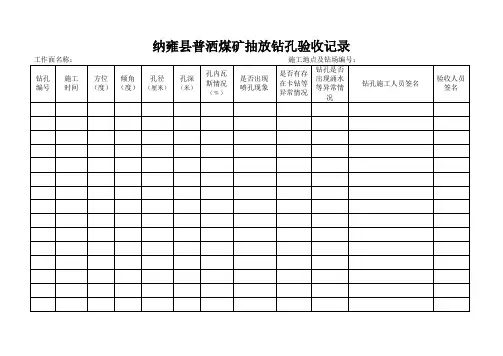 抽放钻孔验收记录(1)