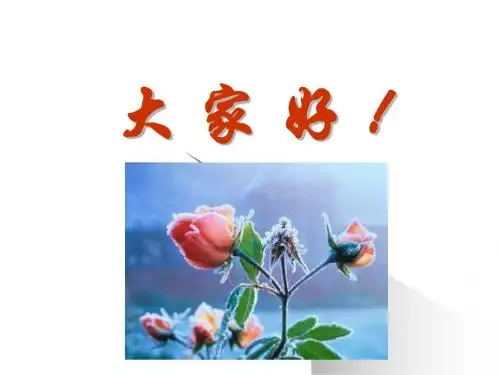 内审培训