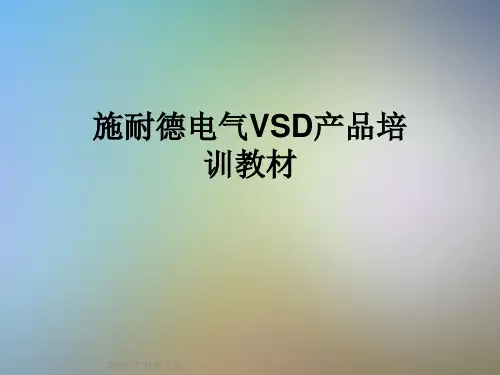 施耐德电气VSD产品培训教材
