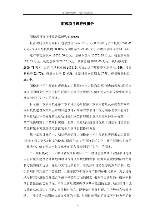 面粉项目可行性报告