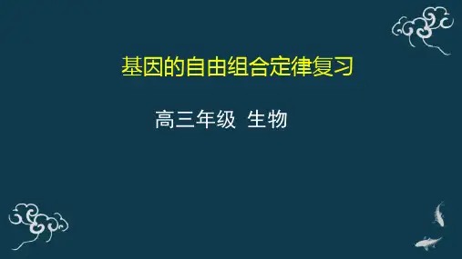基因的自由组合定律复习 课件-2021届高三生物一轮复习