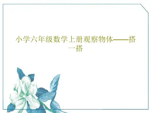 小学六年级数学上册观察物体——搭一搭27页PPT