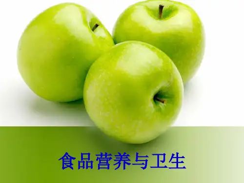 人体需要的营养素维生素矿物质(精)