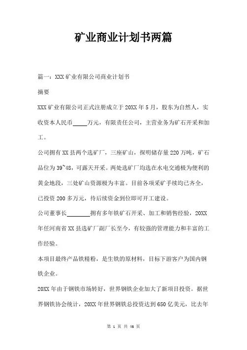 矿业商业计划书两篇