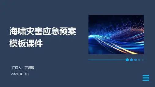 海啸灾害应急预案模板课件