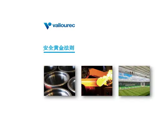 safety golden rules - final - chinese