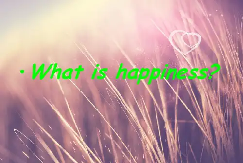 Happiness英语PPT演讲材料