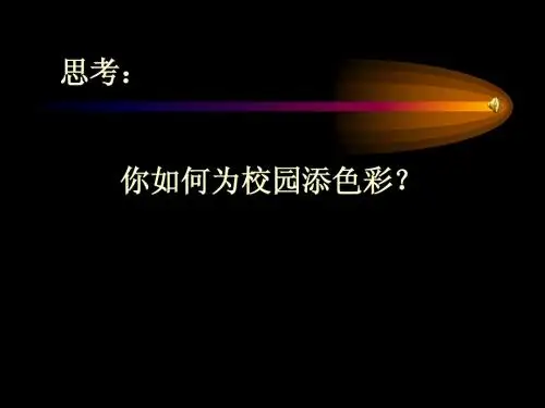 优质课设计与展示课件