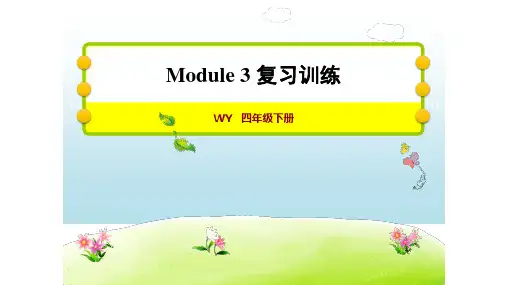 四年级下册英语习题课件   module3 复习训练    外研版(共11张PPT)