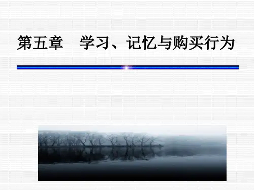 消费者行为学第五章