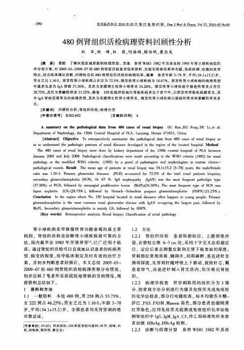 480例肾组织活检病理资料回顾性分析