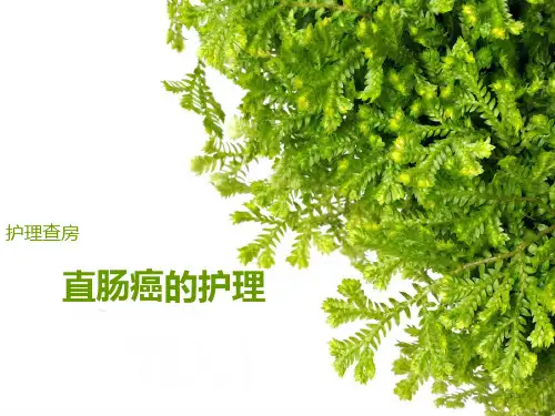 直肠癌的护理查房PPT