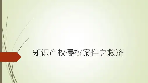 知识产权侵权案件之救济