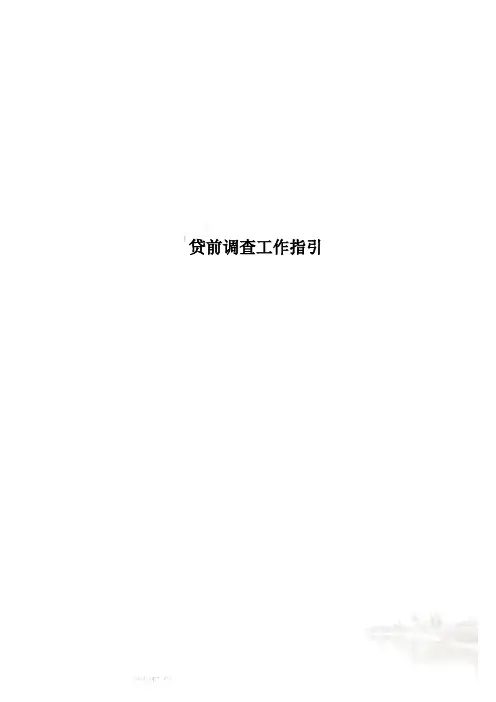 贷前调查工作指引