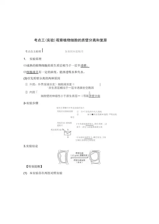 植物细胞质壁分离实验