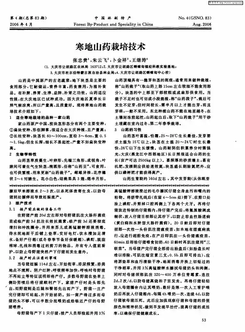 寒地山药栽培技术
