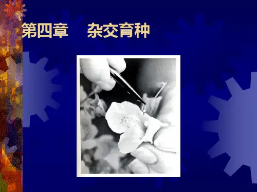 -第4章 杂交育种