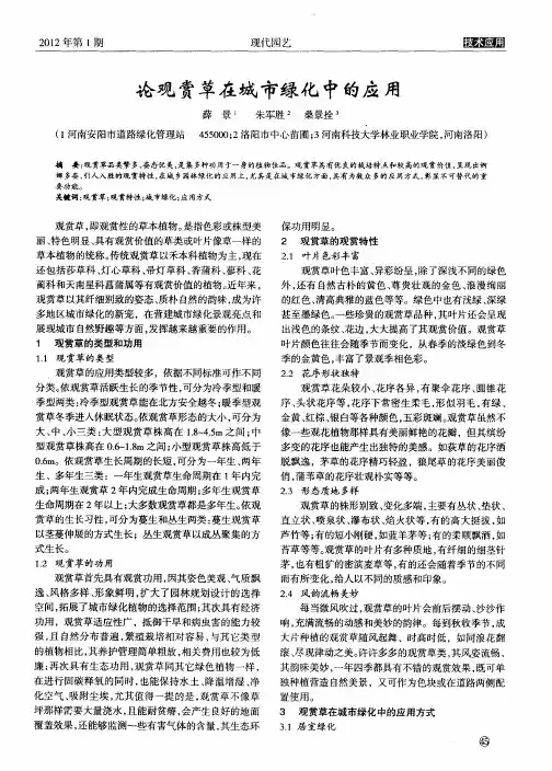 论观赏草在城市绿化中的应用