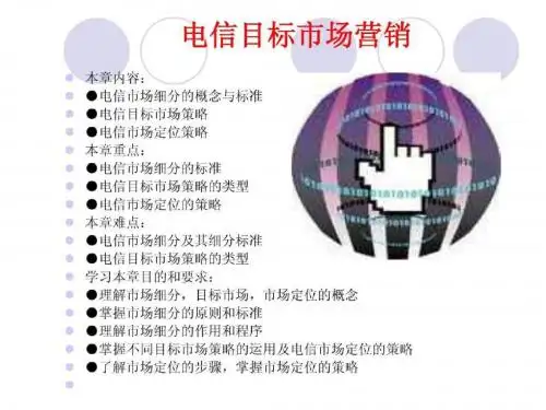 电信目标市场营销