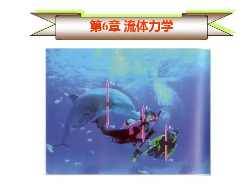 复旦大学大学物理力学课件Ch6