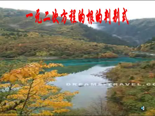 一元二次方程分式方程1(201911整理)