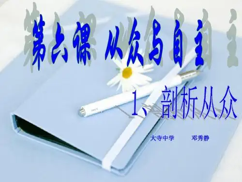 剖析从众(赛课)