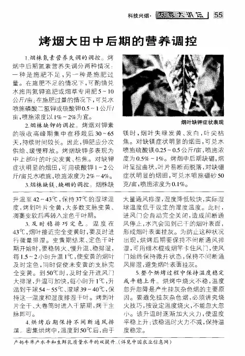 烤烟大田中后期的营养调控