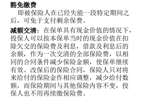 保险术语