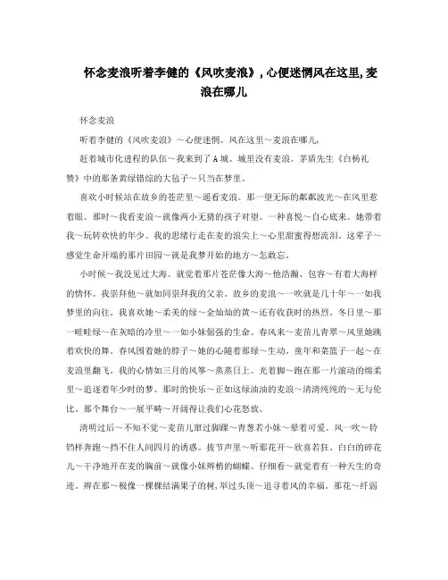 怀念麦浪听着李健的《风吹麦浪》,心便迷惘风在这里,麦浪在哪儿