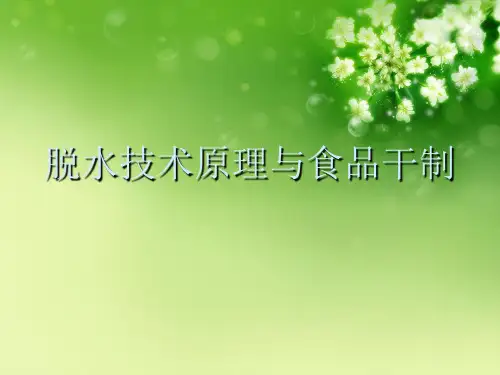 脱水技术原理与食品干制优秀课件