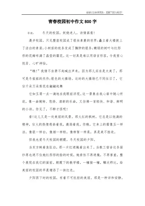 青春校园初中作文800字
