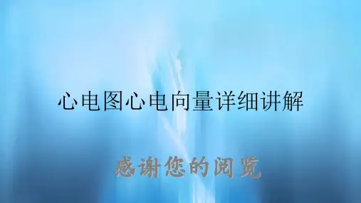 心电图心电向量详细讲解
