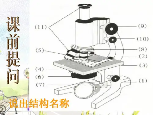 动物和植物细胞PPT教学课件