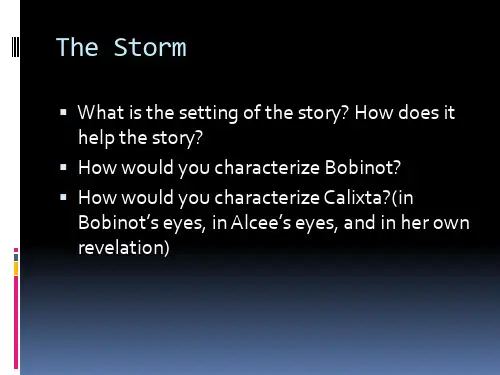 (二)the Storm
