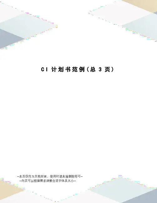CI计划书范例