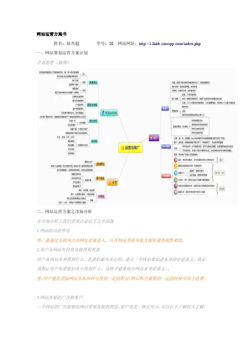 网站运营方案书